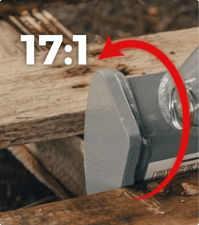 Patented design 17:1